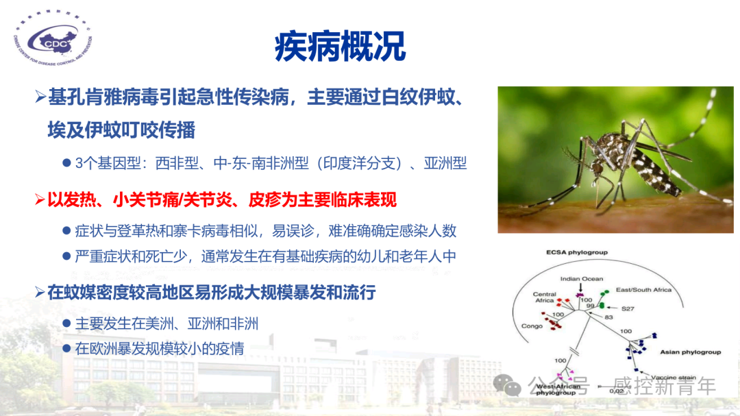 1754039175555031536.png fe7df3cd820873796c982aa3a41c3426.png