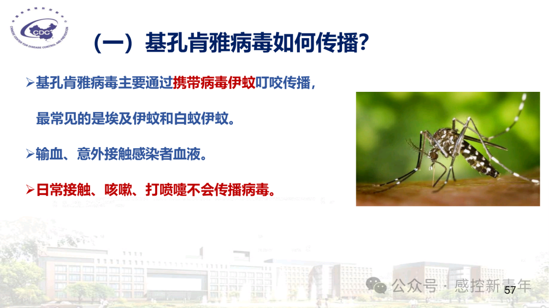 1754039464355004894.png a12660271ab6d5e7fa4a4ae4c8c04fb8.png