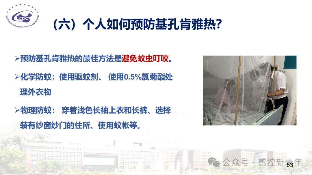 1754039500375012512.png 491c346773835e4a9ae8d7ce75c12ead.png