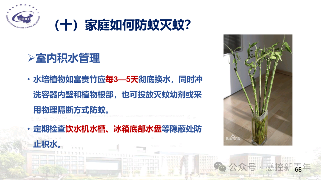 1754039540605079465.png 2c35c9c74f7b8f90d6194fd14260526f.png